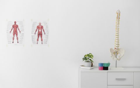 physiotherapy-clinic-with-spine-skeleton-table